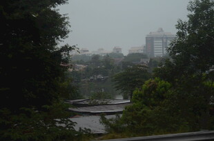 雨中城市景观 绿树环绕