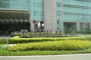 现代建筑前的精致绿植景观