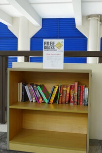 书架上的多彩书籍