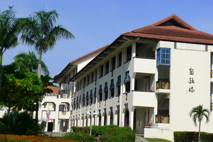 白色多层建筑与绿植景观