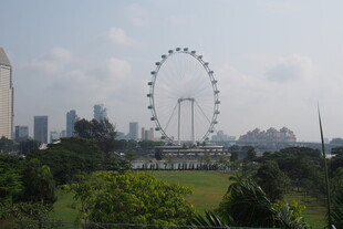 城市中的摩天轮景观