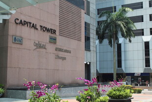 新加坡资本大厦前花卉景观