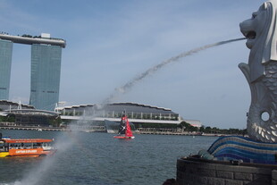 新加坡鱼尾狮公园景观