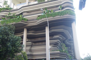 绿植覆盖的独特建筑外观