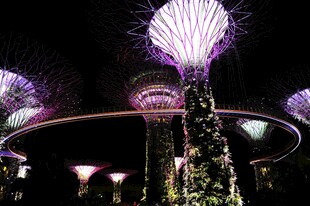 新加坡滨海湾夜景灯光秀