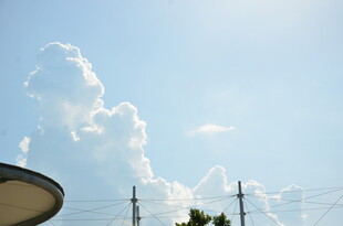 晴朗天空下的城市景象