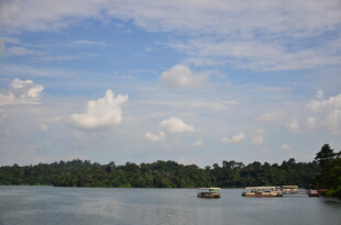 湖畔蓝天绿树风景如画