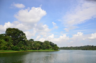 湖畔绿树蓝天美景