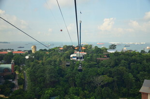 高空缆车俯瞰茂密丛林景观