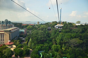 高空缆车俯瞰葱郁城市景观