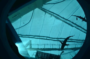 透过舷窗看海上设施与飞鸟