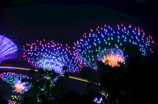 新加坡滨海湾璀璨灯光秀