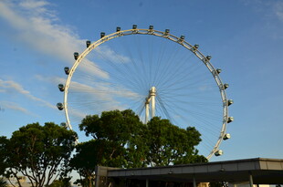 城市中的巨型摩天轮景观
