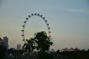 黄昏下的摩天轮景观