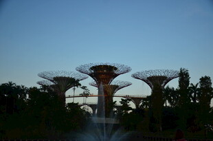 新加坡滨海湾超级树景观