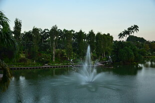 湖畔喷泉景观 绿意环绕