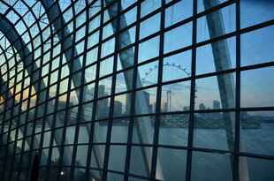 透过网格看城市风景