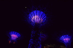 夜空中绚丽绽放的蓝色烟花