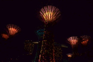 夜空中绚丽的烟花与塔景