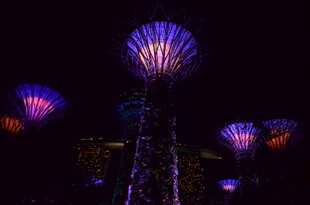 夜晚绚丽灯光艺术装置