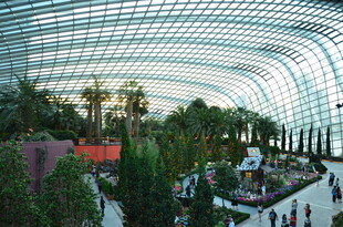 室内绿植景观的美丽空间