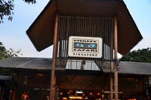 木质异国风情餐厅外观