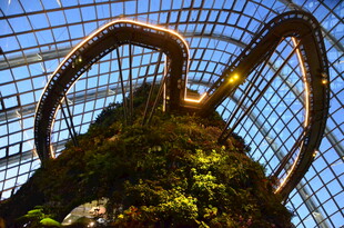 新加坡滨海湾花园空中步道