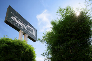 户外广告牌与绿植景观 新加坡