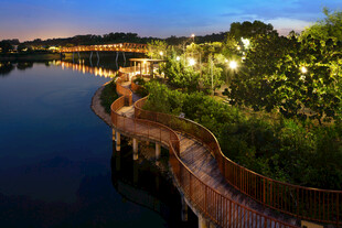 河畔夜景栈道 绿植环绕 新加坡
