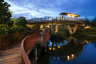 湖畔木桥夜景 静谧美好