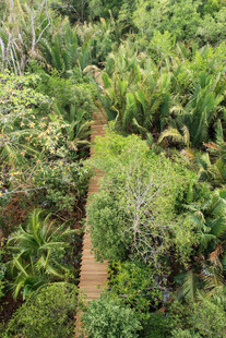 新加坡空中俯瞰绿意盎然的小径