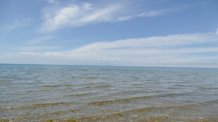 广阔海面与蓝天白云景象