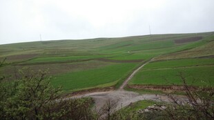 田野间蜿蜒小路风景