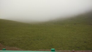 云雾缭绕的绿色山坡