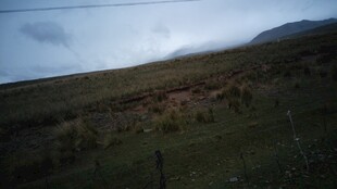 草原远景 山峦隐约