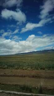 蓝天白云下的广袤原野