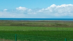 草原边的辽阔蓝色海洋