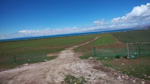 草原旷野中的蜿蜒土路