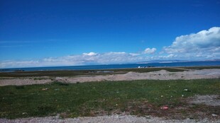 广阔草原与蓝天相接景色