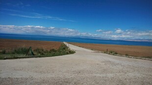 海边空旷道路与辽阔海景