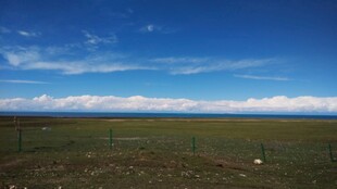广阔草原上的蓝天与围栏