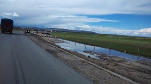 公路旁的开阔田野风光