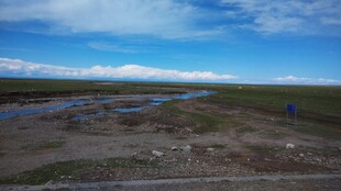 广袤草原湿地风光