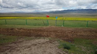 草原田野间的围栏景致