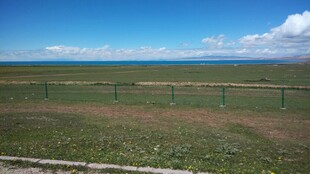 草原风光 蓝天白云绿地