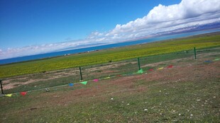 草原风光与远处碧海蓝天