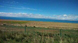 草原与海的辽阔景致