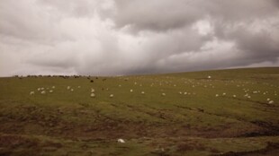 草原上的阴沉天空