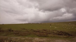 草原上的阴沉天空