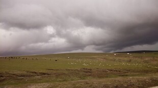 草原上的阴沉乌云